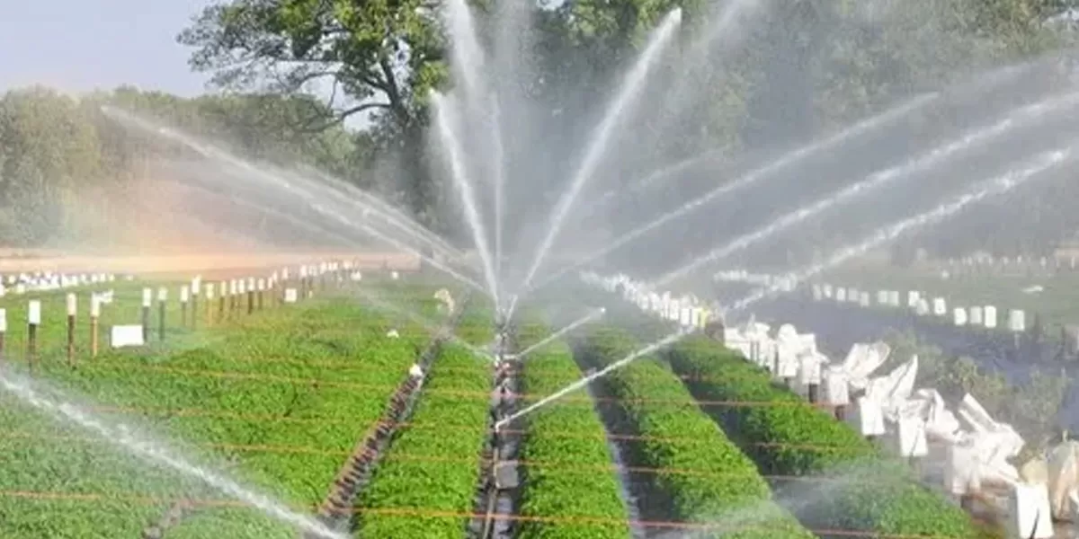 Patel Engineering Bags Rs 9.6 Billion Irrigation Contract