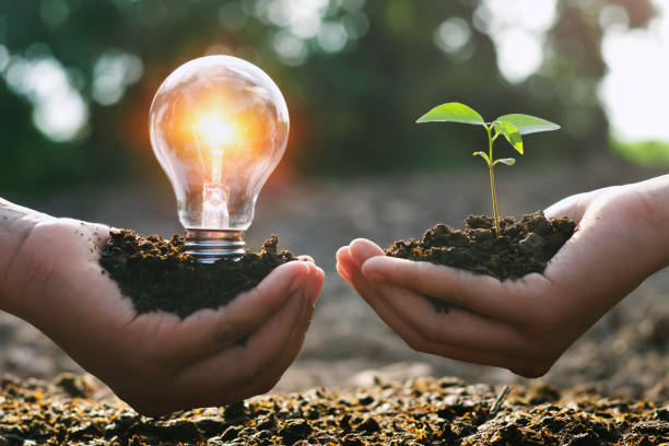 BPCL plans Rs 25,000 cr investment for green energy push