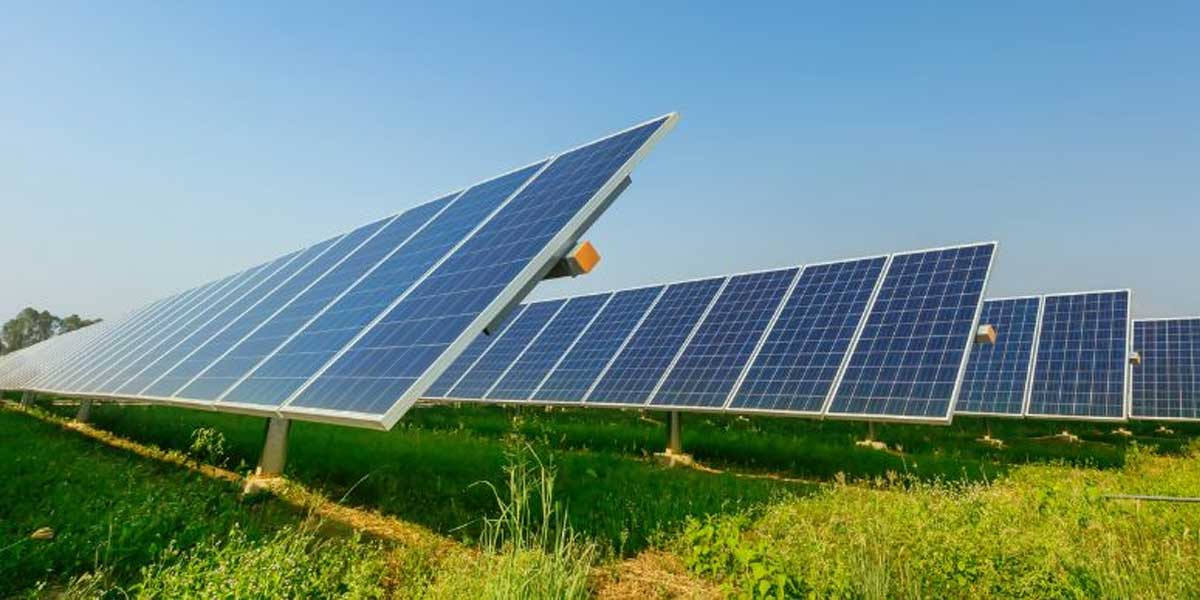 Punjab invites bids to procure power from 500 MW of solar projects