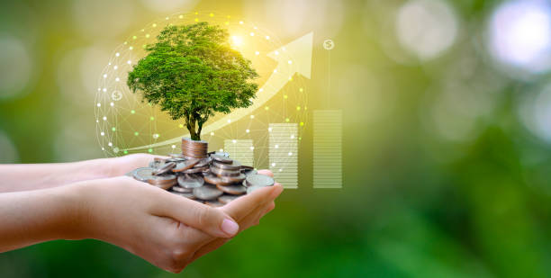 Companies show interest to invest in Dholera SIR