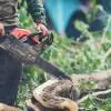 SC permits felling of 95 trees for road project near Aarey