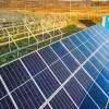 BPSCL Issues Tender for 2 MW Solar Plant O&M