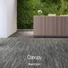 Shaw Contract introduces Canopy collection