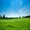 Andhra Pradesh Minister assures no worries on Land Titling Act