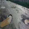 Engineers face accountability for Highway Potholes