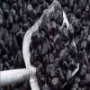 SECL's Gevra, Kusmunda Mines Rank Among World's Top Coal Producers