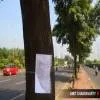 700 Trees Face Axe For Ghatkopar–Thane Elevated Road