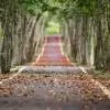 NHAI to Repair Ghat Road