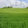 Macrotech to Invest Over Rs 80 Billion in FY26 for Land Acquisition