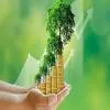 Transparency comes to circularity via ALLIED and NEMO tie up