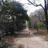 Kanwar Marg project to take two more years to complete