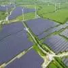 Chinese Firms Exit Romania Solar Tender