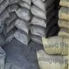 Adani Group Aims for Cement Dominance
