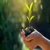 BizDateUp Acquires 20% Stake in Duro Green