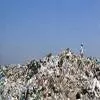 Bangalore to Achieve Green Waste Management Fleet by 2025