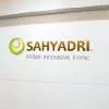 Sahyadri Industries PAT Falls, Declares FY25 Dividend