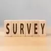 YEIDA Completes Survey of Jaypee Sports City Project