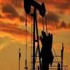 Panel Flags Oil Import Risks, Urges Supply Diversification