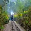 ZF expands into Indian Railways with gearbox supply order