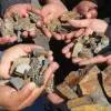 GSI Probes Rare Earth Deposits in Bengal and Assam