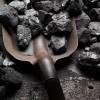  Coal India's operations aims to become net-zero in next 4 years