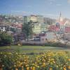 Nagaland Smart City and commercial capital rank bottom ten