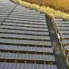 RERC authorises procurement of 3 GW of solar power