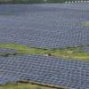 Indian Solar Firms Reroute Supply Chains Amid US Tariffs