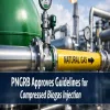 PNGRB Approves Guidelines for Compressed Biogas Injection