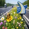 NHAI To Develop Bee Corridors Along National Highways
