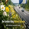 National Highways Authority Of India To Develop Bee Corridors