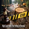 High Court Extends Tree Felling Curbs To Haryana