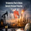 Parliamentary Panel To Review Domestic Petroleum Production