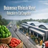 Bhubaneswar Wholesale Market Relocation to Cut Congestion
