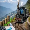 Darjeeling Himalayan Railway Posts Record Monthly Revenue