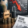 MSMEs Need Protection Not Just Promotion
