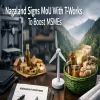 Nagaland Signs MoU With T-Works To Boost MSMEs