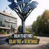 Delhi To Get First Solar Tree At Secretariat