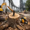 Over 800 Trees To Be Felled In Thane For Infrastructure