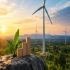 Blueleaf Energy Acquires 40 MW Wind Asset in Karnataka