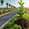 NHAI Sets Plantation and Survival Norms for Highway Completion