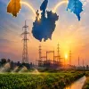 Madhya Pradesh to Source Power from Punjab, Uttar Pradesh amid Shortfall