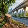 Allwyn-Miyapur Flyover Project Threatens over 350 Trees