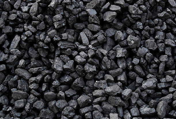 Coal India to launch its own e-auction portal