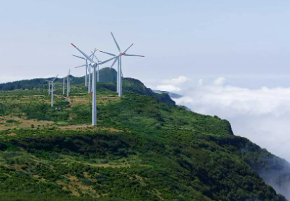 Thermax Infuses Rs 1.15 Bn into Renewable Energy Arm for Expansion