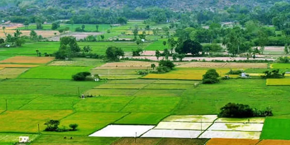 Andhra Pradesh Suspends Land Registration Under Section 22-A for 3 Months