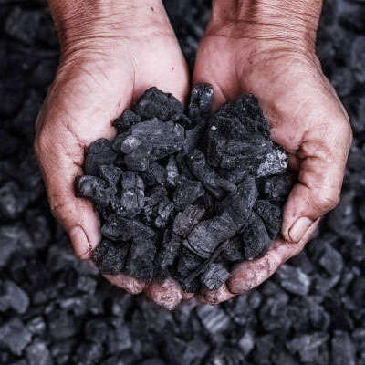 Coal Ministry rolls new SWCS module