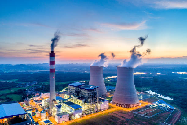 NTPC asks Indian startups to produce torrefied biomass pellets