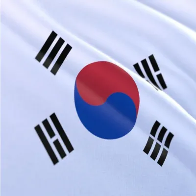 India, Korea To Collaborate On EV, Electronics And Digital Trade