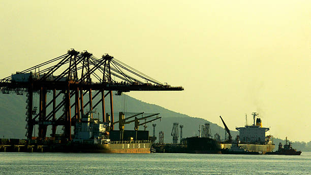 DCIL bags maintenance dredging contract worth Rs 250 cr